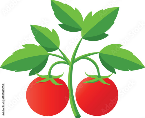 tomato plant icon with ripe tomatoes, detailed leaves.