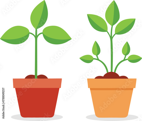 Small fruit plants in pots vector.