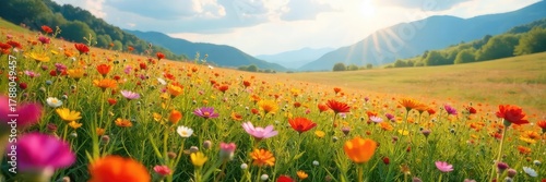 A vibrant and breathtaking landscape of wildflowers stretching as far as the eye can see, bathed in soft sunlight  Perfect for nature, spring, and floral themes ,  ecosystem,  summer,  summer flowers