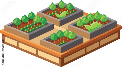 vegetable garden with raised wooden beds realistic vector icon.