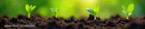 Close-up of delicate spring roots pushing through rich soil, bursting with new life and growth A vibrant image depicting the power and resilience of nature's renewal , powerful, underground