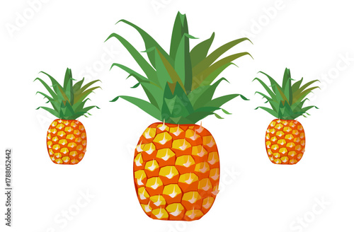 Fresh pineapple fruit illustration, summer pineapple fruit theme. Summer design for holiday promotion and printed on clothing.