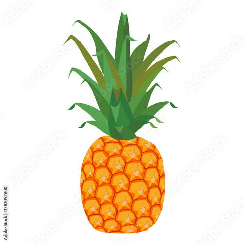 Fresh pineapple fruit illustration, summer pineapple fruit theme. Summer design for holiday promotion and printed on clothing.