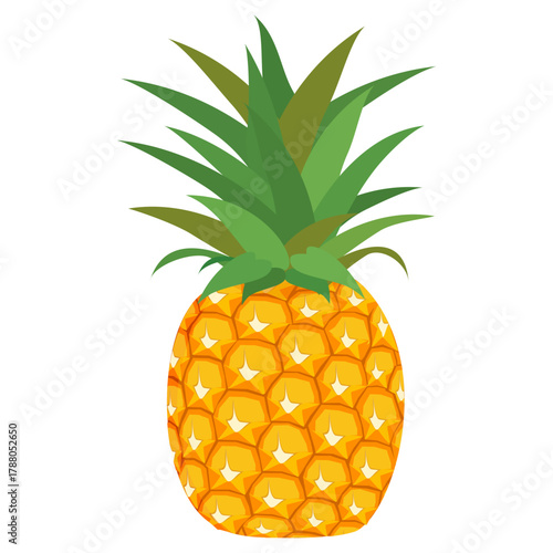 Fresh pineapple fruit illustration, summer pineapple fruit theme. Summer design for holiday promotion and printed on clothing.