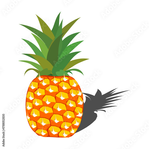 Fresh pineapple fruit illustration, summer pineapple fruit theme. Summer design for holiday promotion and printed on clothing.