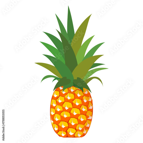 Fresh pineapple fruit illustration, summer pineapple fruit theme. Summer design for holiday promotion and printed on clothing.
