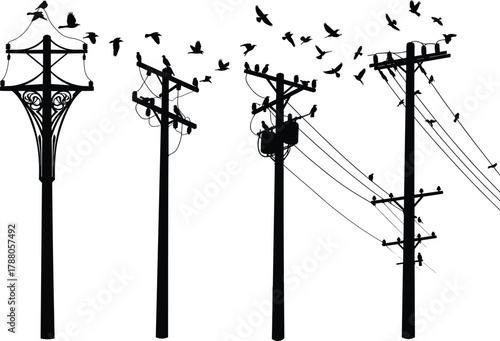 Silhouette utility poles with birds perched and flying, electrical wires, transformers, urban infrastructure flat vector illustration
