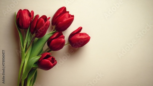 Romantic Arrangement of Red Tulips on Light Background, Perfect for Celebrations, Gifts, or Home Decor Enhancements, Displays Nature's Beauty and Elegance
