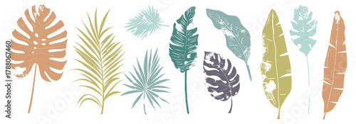 Set of hand drawn tropical leaves muted colors line art and silhouette moderns. Great for print, logos, branding, and web design. Abstract realistic shapes in trendy minimalist style. Dirty texture
