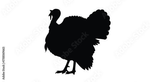 A striking black silhouette of a majestic turkey in profile view