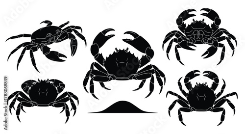 Several black crab silhouettes are displayed in a variety of poses