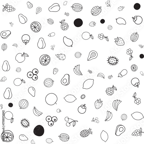 HandDrawn Fruit Medley Black and White Line Art of Diverse Tropical and Temperate Fruits