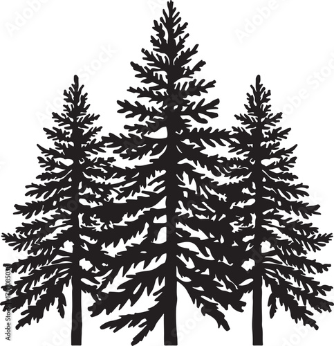 Three Black Silhouette Evergreen Pine Trees with Detailed Foliage on White Background Keywords: trees, pine, evergreen, coniferous, silhouette, black, white, background, nature, forest, foliage