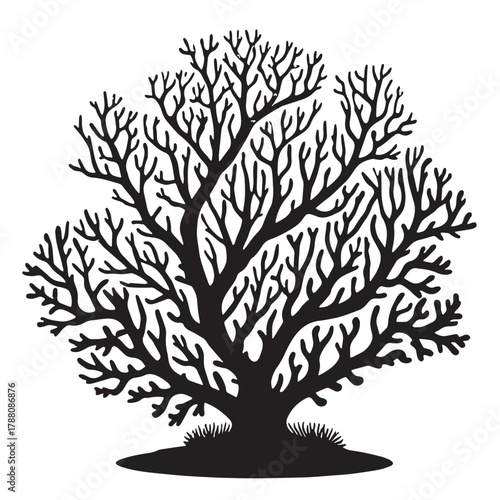 Black Underwater Coral Silhouette Vector, High Quality Illustration on White Background