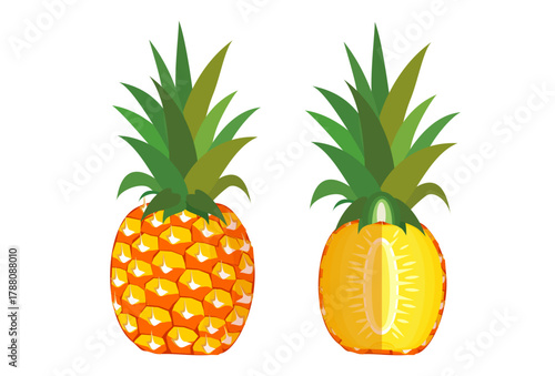 pineapple fruit illustration, summer fresh fruit theme