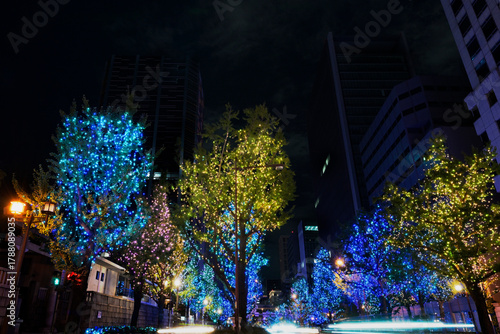 5-イルミネーション