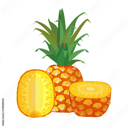 pineapple fruit illustration, summer fresh fruit theme	