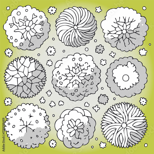 Ensemble de 9 Illustrations Silhouettes d'Arbres pour Plans de Jardins et Architecture, Vue d'en Haut, Nature et Végétation Noir et Blanc sur Fond vert Vecteur