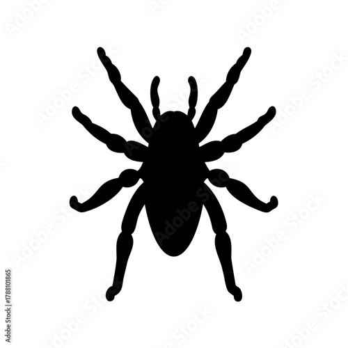 Isolated black spider silhouette vector spooky design art Vector, illustration