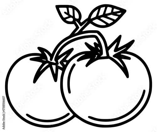 Vector illustration of a tomato