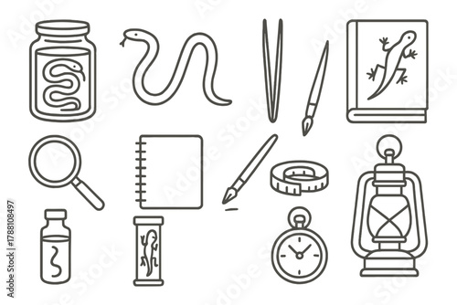 Vintage Herpetology Icons. Line style icons of vintage herpetology: snake jar, specimen, tongs, field guide; magnifying glass,