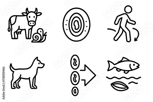 Complex Life Cycle Icons. Line style icons of Complex Life Cycles: intermediate host, cyst stage, larval migration, definitive