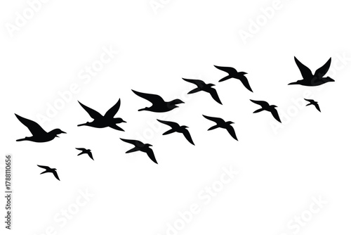 A flock of black birds is flying in formation against a transparent background