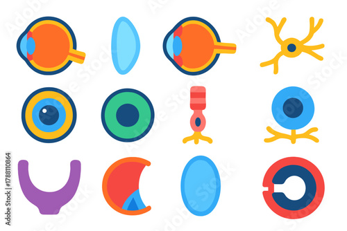 Animal Eye Anatomy Icons. Flat vector icons of visual system anatomy in animals: retina, lens, cornea, optic nerve, iris, pupil,