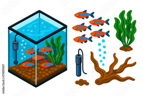 Vibrant Freshwater Aquarium Icons. Isometric vector illustration set Freshwater Aquarium: square tank, schooling fish, leafy