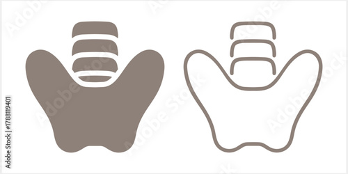 Pelvic area vector icon set isolated. A human skeleton. Vector stock illustration