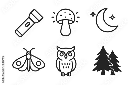 Night Foraging Icons. Line style icons of night foraging: flashlight, glowing mushroom, moon, moth, owl, dark trees. No text, No