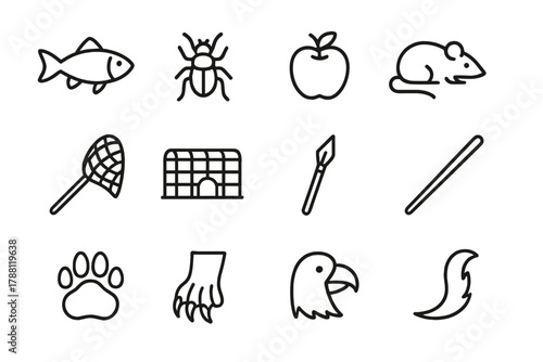 Hunting and Gathering Icons. Line style icons of Hunting & Foraging: Fish, Insect, Fruit, Small Mammal; Net, Trap, Spear, Stick;