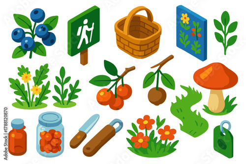 Urban Foraging Icon Set. Isometric vector illustration set Urban Foraging: wild berries, urban park trail sign, basket with handle