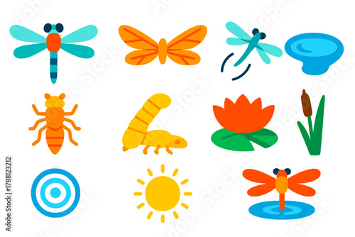 Dragonfly Icon Set. Flat vector icons of Dragonfly Observation: dragonfly, wings, flight, pond, nymph, larva, water lily, reed,