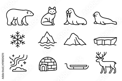 Polar Line Icons. Line style icons of Polar Regions: Polar Bear, Arctic Fox, Walrus, Seal; Snowflake, Iceberg, Glacier, Ice Sheet;