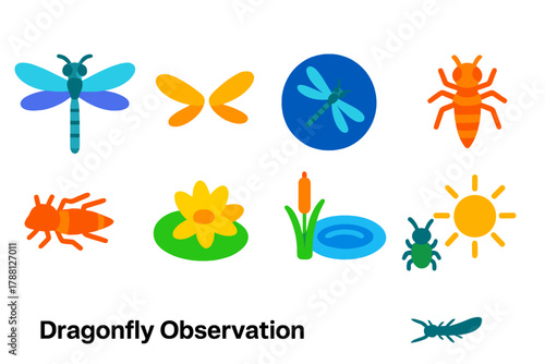 Dragonfly Icon Set. Flat vector icons of Dragonfly Observation: dragonfly, wings, flight, pond, nymph, larva, water lily, reed,