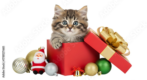 A cute kitten sitting inside a red christmas gift box surrounded by christmas ornaments on black background on transparent background