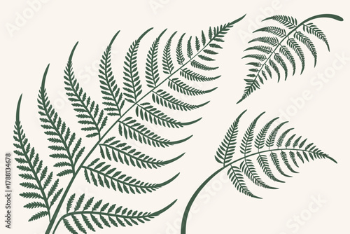Minimal fern leaf pattern — repeating fine line botanical texture vector
