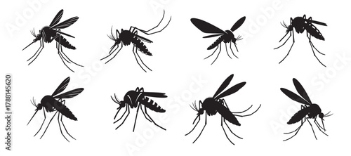 Set of Mosquito Silhouettes, Detailed Black Mosquitos, Insect Vector Icons, Pest Control Design Elements