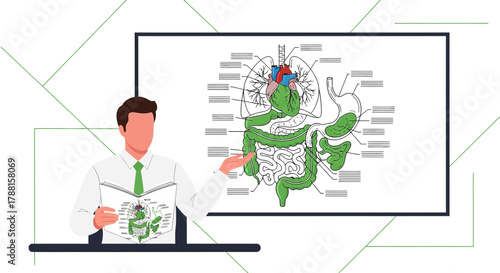 Medical illustration of human anatomy presented by a doctor with digestive system diagram anatomy