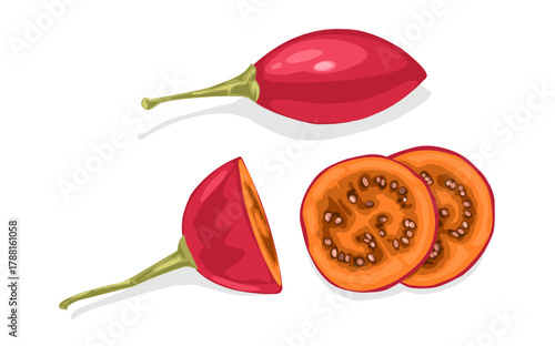 Fresh red tamarillo fruit and cut up fruit on white background. Fresh Vegetable from garden
