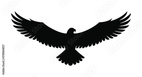 A striking silhouette of an eagle with wings outstretched in flight