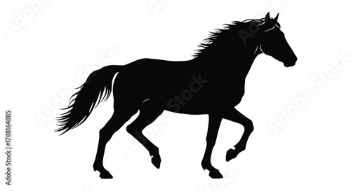 Silhouette of a majestic horse with flowing mane and tail in profile