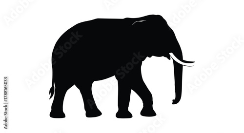 A striking black silhouette of an african elephant in a simple design