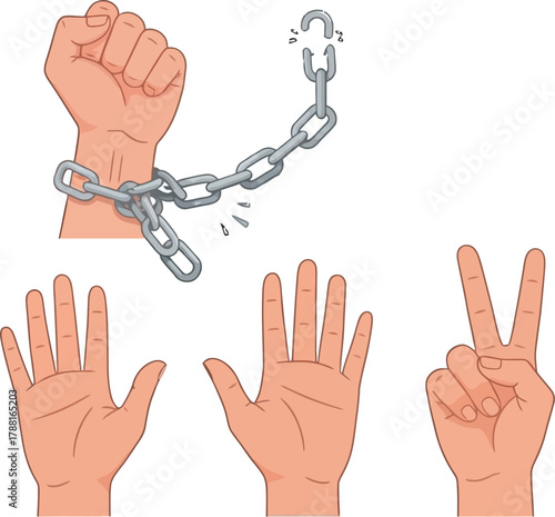 Empowering human rights with freedom, peace, and compassion shown through symbolic hand gestures and a hopeful flower on a clean white backdrop