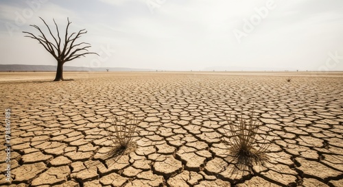 Dry cracked earth and lonely tree under harsh desert sun climate change