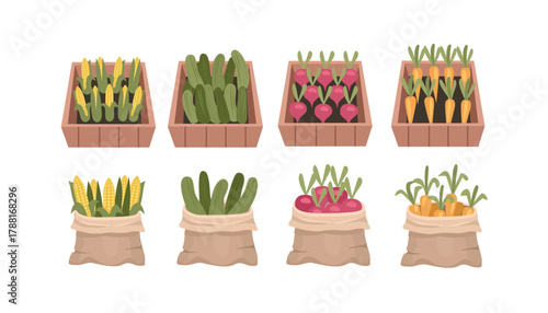 Farm Fresh Produce Collection. Rustic Wooden Crate of Fresh Produce. Harvested Vegetables in burlap bag