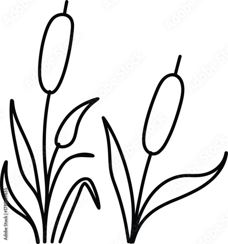 Simple Line Drawing of Two Cattails with Leaves bulrush reed
