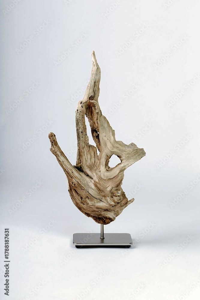 Fototapeta premium A statue of an angel