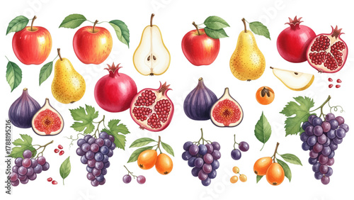 A vibrant watercolor illustration showcasing a variety of fruits including apples, pears, grapes, pomegranates, figs, plums, and quinces.